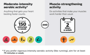 11 Chair Exercises for Seniors