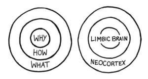 simon sinek's golden circle about why how and what drives people