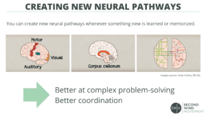 creating new neural pathways by memorizing or learning something new to improve neuroplasticity