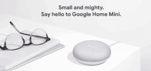 google home mini website