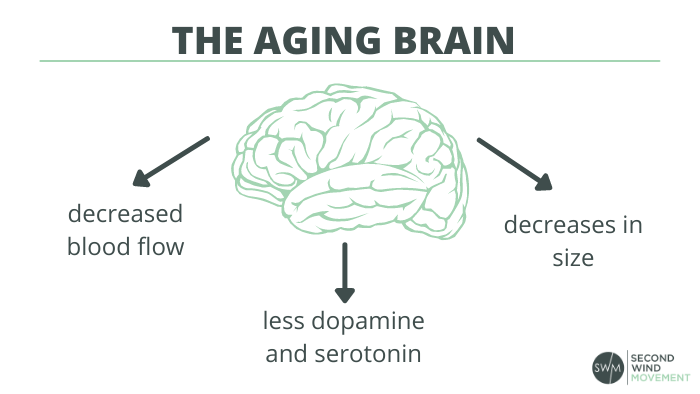 the aging brain - decreased blood flow, less dopamine and serotonin, and a decrease in size