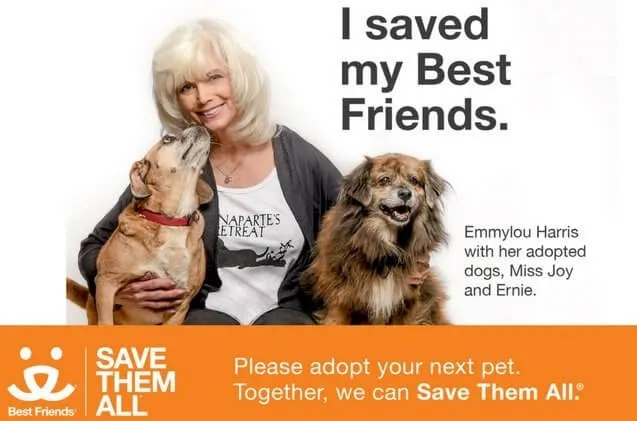 best friends animal association non-profit organization