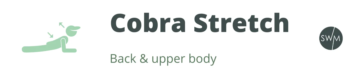 cobra stretches strengthen your back and upper body