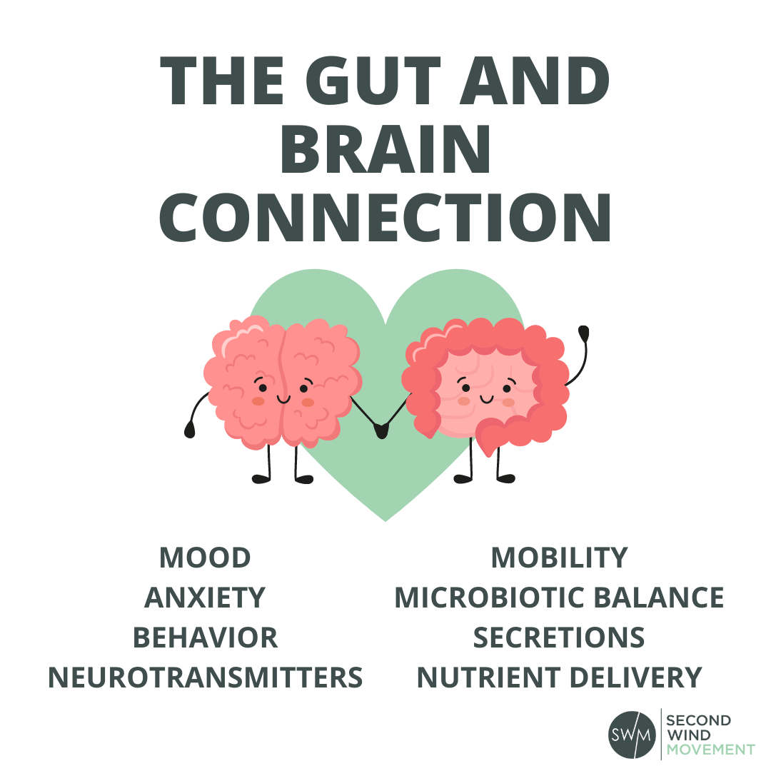 the gut and brain connection - how your gut and nutrition impact your mood, anxiety, behavior, neurotransmitters, mobility, microbiotic balance, secretions, and nutrient delivery