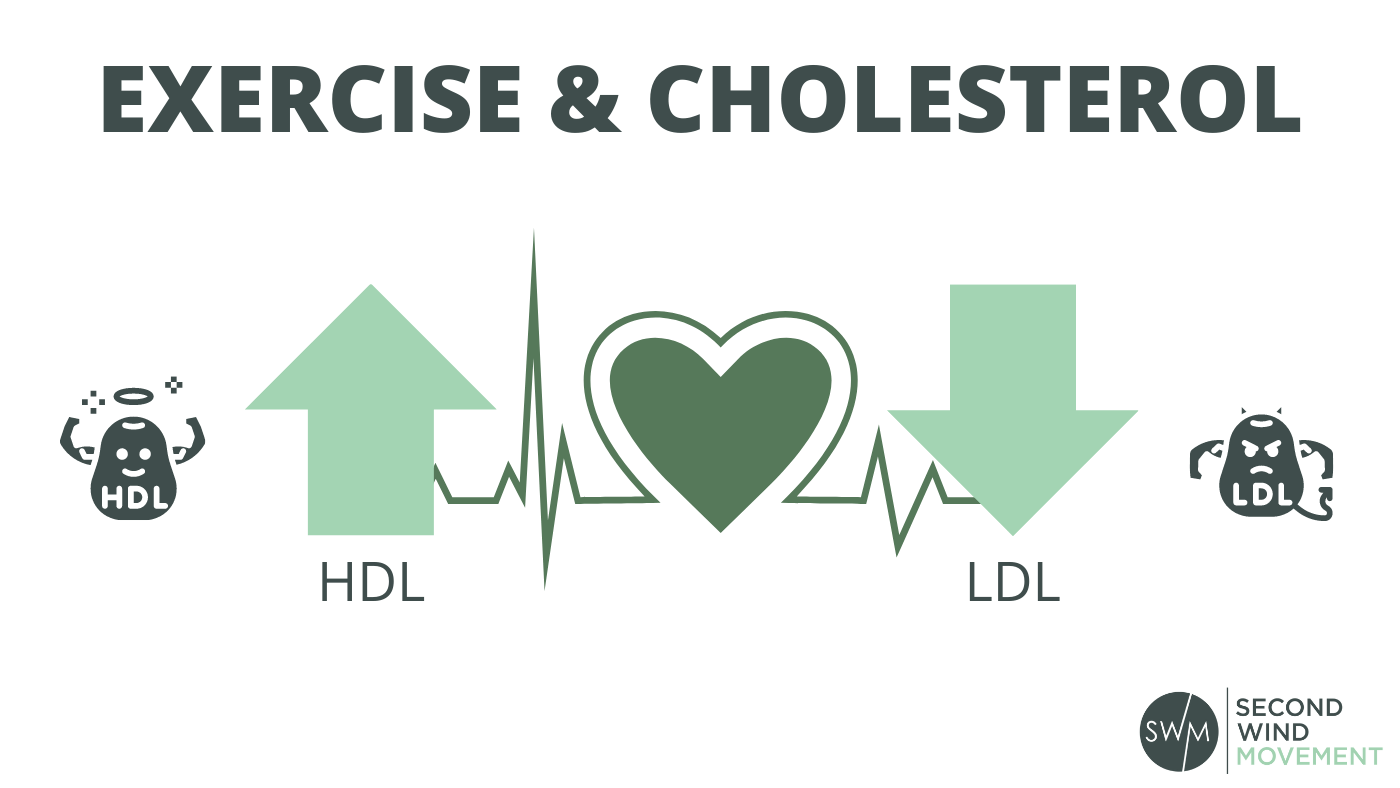 exercise lower ldl (the bad kind of cholesterol) and increases HDL (the good kind of cholesterol)