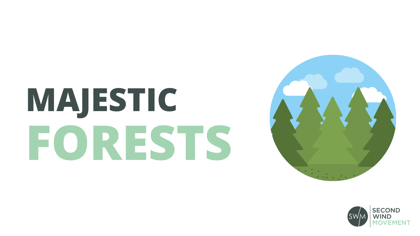 majestic forests