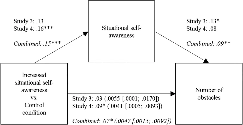 the effect of self-awareness on the identification of goal-related obstacles 