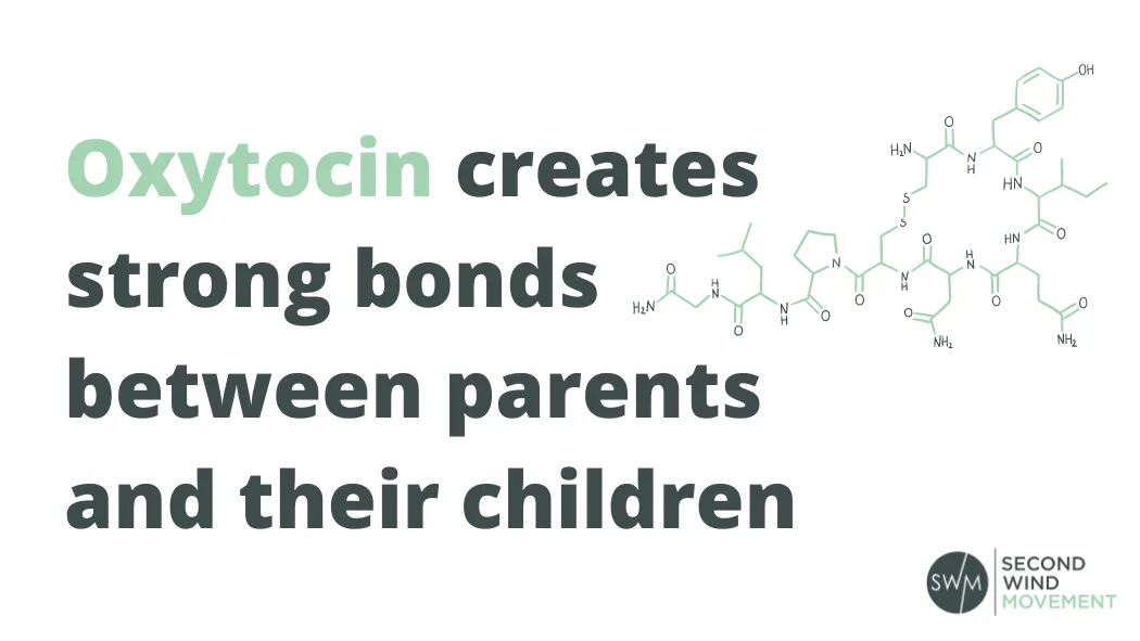 oxytocin creates strong bonds between parents and their children