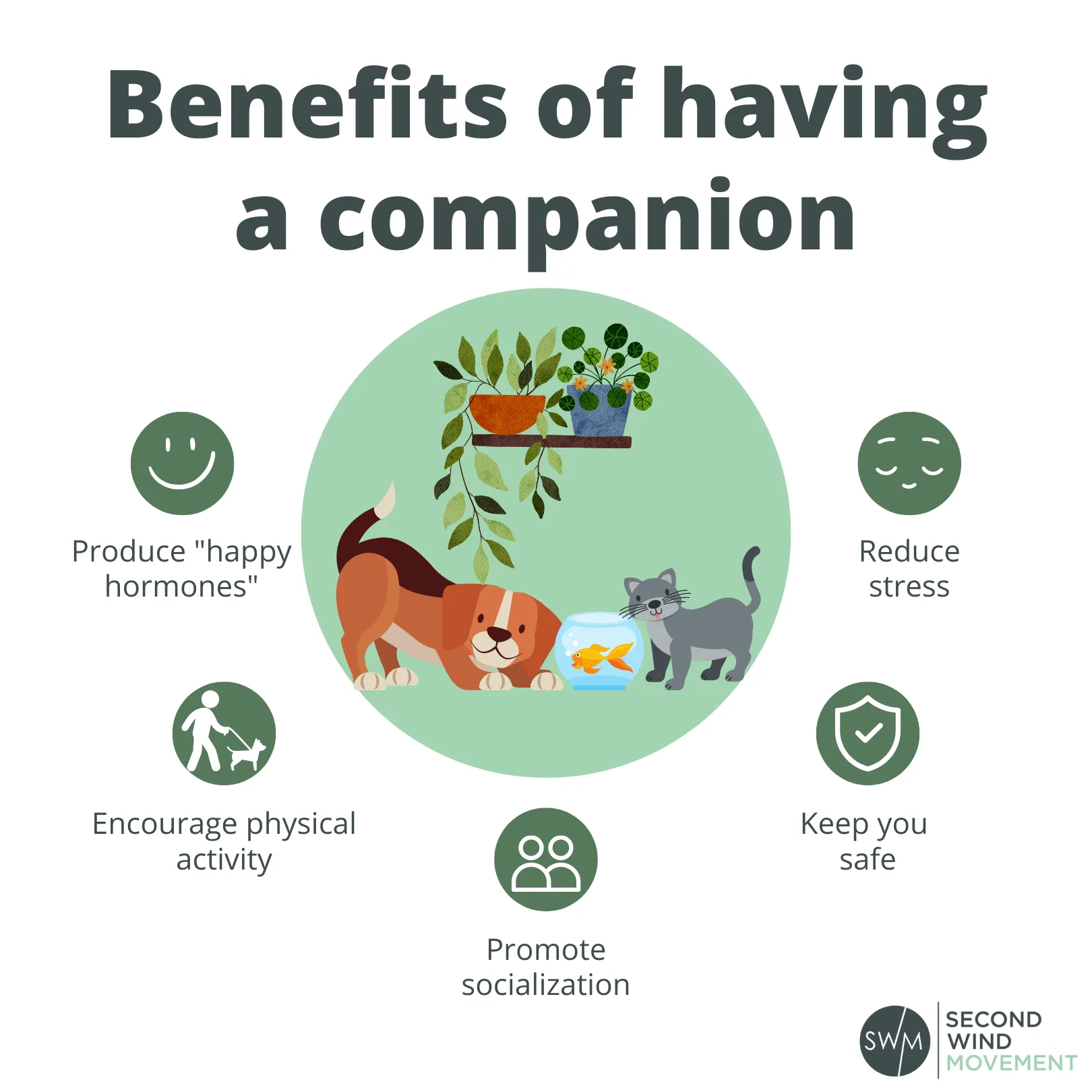 benefits of having a plant companion or pet - produce happy hormones, encourage physical activity, promote socialization, keep you safe, reduce stress