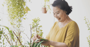 senior woman tending to a houseplant
