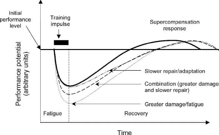 exercise-and-recovery-phoenix-rising-recovery