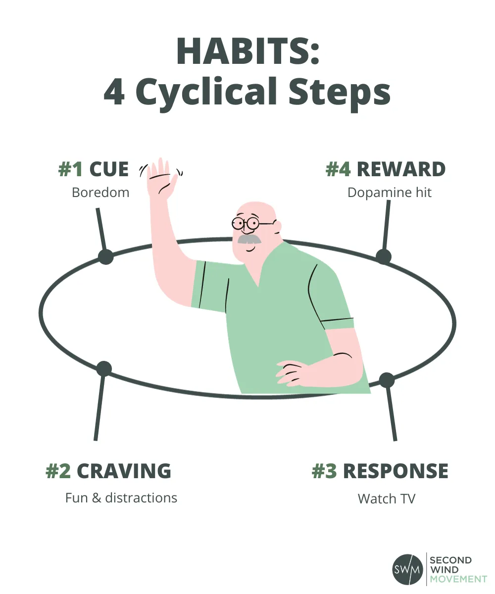 habit formation happens in four cyclical steps: cue, craving, response, reward