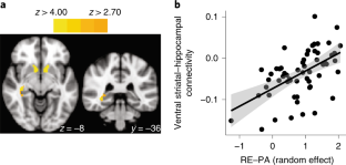 new experiences light up hippocampus